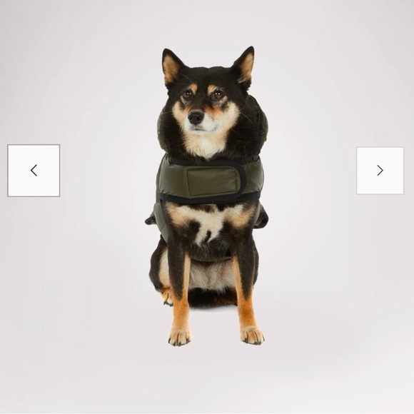 Pajar Pup off-white dog jacket with hood size large (NWT) - Picture 6 of 9